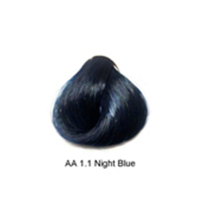Artizta Permanent Hair Color 1.1 Night Blue / Ash / 1 Professional Salon Products
