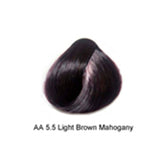 Artizta Permanent Hair Color 5.5 Light Mahogany Brown / Mahogany / 5 Professional Salon Products