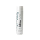 Blowpro Damage Control Repairing Shampoo Professional Salon Products