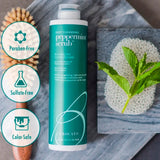 Brocato Peppermint Scrub Balancing Conditioner Professional Salon Products