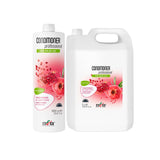 Itely Conditioner Professional Pomegranate Professional Salon Products