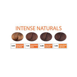 REF Permanent Hair Color Professional Salon Products