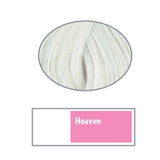 REF Permanent Hair Color Pastels Professional Salon Products