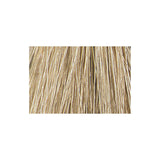 Tressa Colourage Color 10A Very Light Smoke Ash Blonde / Ash / 10 Professional Salon Products