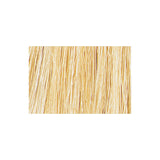 Tressa Colourage Color 10G Very Light Golden Blonde / Gold / 10 Professional Salon Products