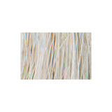 Tressa Colourage Color 12AB Super Ultra Light Ash Blonde / Super Ultra Light Blonde / 12 Professional Salon Products