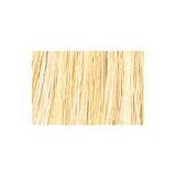 Tressa Colourage Color 12G Super Ultra Light Golden Blonde / Super Ultra Light Blonde / 12 Professional Salon Products