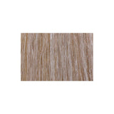 Tressa Colourage Color 8AA Medium Cool Ash Blonde / Ash Ash / 8 Professional Salon Products