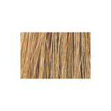 Tressa Colourage Color 8G Medium Golden Blonde / Gold / 8 Professional Salon Products