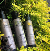 Tressa Watercolors Classic Direct Color Shampoos Professional Salon Products
