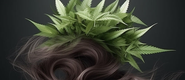 The CBD Buzzword in the Hair Industry