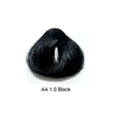 Artizta Permanent Hair Color 1.0 Black / Natural / 1 Professional Salon Products