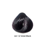 Artizta Permanent Hair Color 1.2 Violet Black / Violet / 1 Professional Salon Products