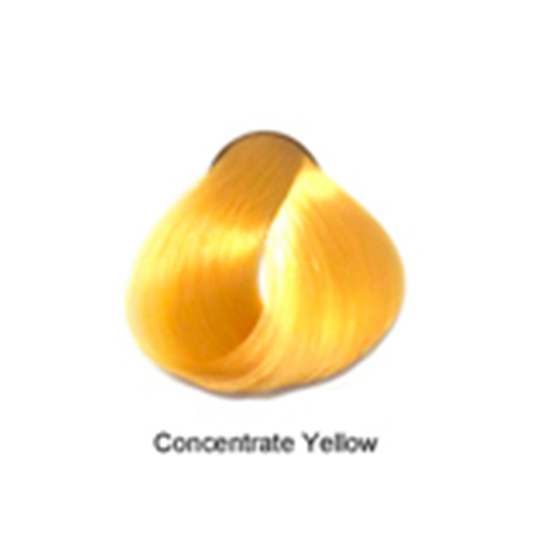 Artizta Permanent Hair Color Accent Yellow / Additive / No Level Professional Salon Products