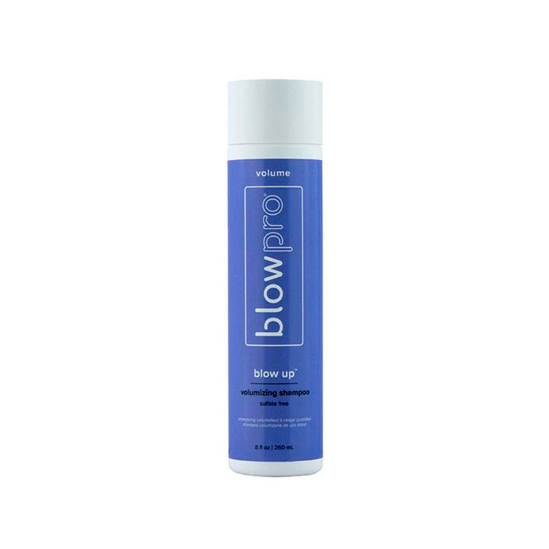Blowpro Blow Up Volumizing Shampoo Professional Salon Products