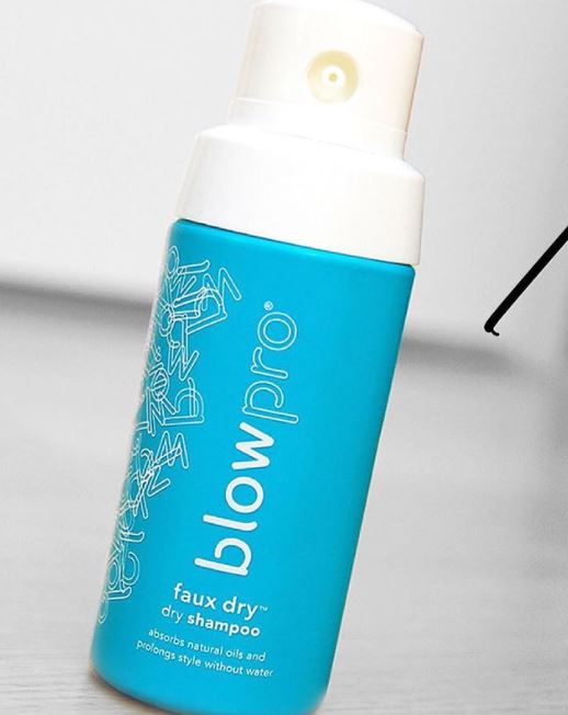 Blowpro Faux Dry Shampoo Professional Salon Products