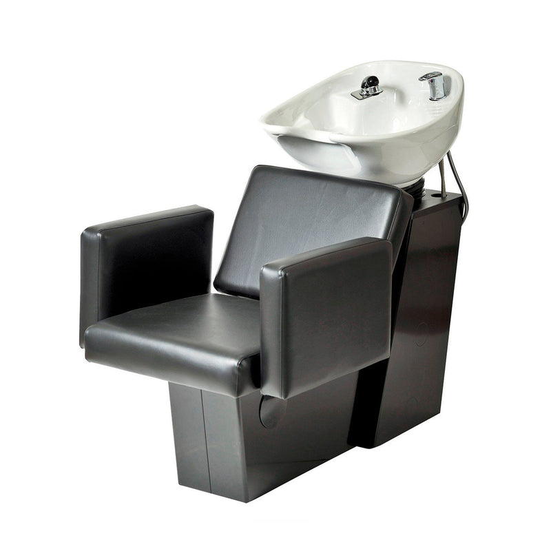 Pibbs Cosmo Backwash Shuttle Professional Salon Products