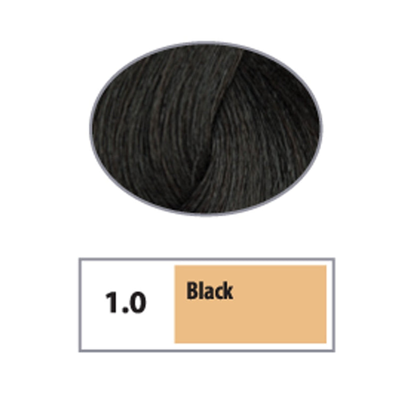 REF Permanent Hair Color 1.0 - Black / Naturals / 1 Professional Salon Products