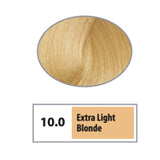 REF Permanent Hair Color 10.0 - Extra Light Blonde / Naturals / 10 Professional Salon Products