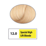 REF Permanent Hair Color 12.0 - Special High Lift Blonde / High Lifts / 12 Professional Salon Products