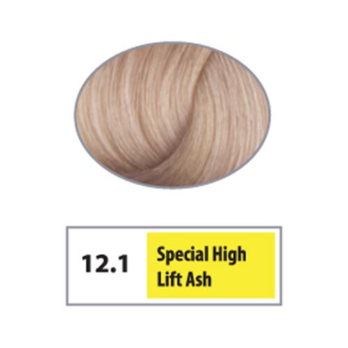 REF Permanent Hair Color 12.1 - Special High Lift Ash / High Lifts / 12 Professional Salon Products