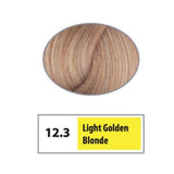 REF Permanent Hair Color 12.3 - Light Golden Blonde / High Lifts / 12 Professional Salon Products