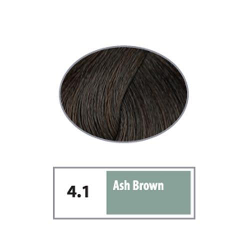 REF Permanent Hair Color 4.1 - Ash  Brown / Ashes / 4 Professional Salon Products