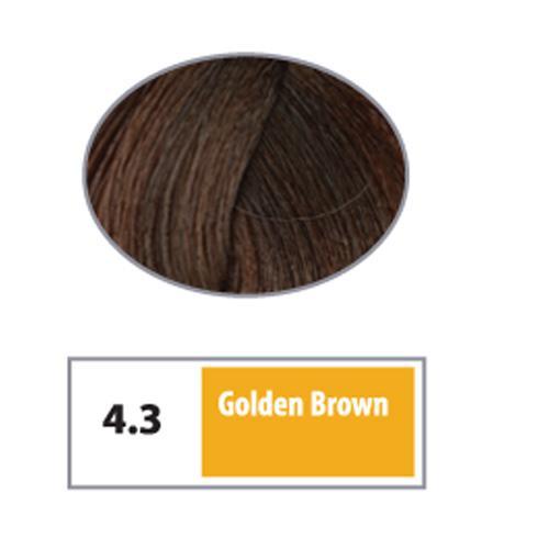 REF Permanent Hair Color 4.3 - Golden Brown / Goldens / 4 Professional Salon Products