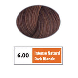 REF Permanent Hair Color 6.00 - Intense Natural Dark Blonde / Intense Naturals / 6 Professional Salon Products