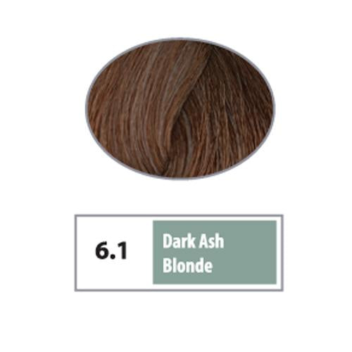 REF Permanent Hair Color 6.1 - Dark Ash Blonde / Ashes / 6 Professional Salon Products