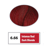 REF Permanent Hair Color 6.66 - Intense Red Dark Blonde / Reds / 6 Professional Salon Products