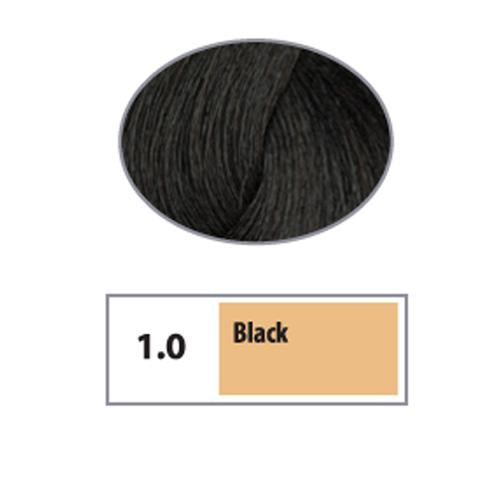REF Soft Demi Permanent Hair Color 1.0 - Black / Naturals / 1 Professional Salon Products