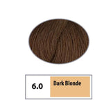 REF Soft Demi Permanent Hair Color 6.0 - Dark Blonde / Naturals / 6 Professional Salon Products