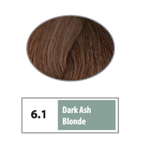 REF Soft Demi Permanent Hair Color 6.1 - Dark Ash Blonde / Ashes / 6 Professional Salon Products