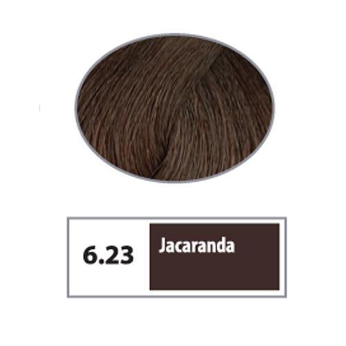 REF Soft Demi Permanent Hair Color 6.23 - Jacaranda / Woods / 6 Professional Salon Products