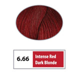 REF Soft Demi Permanent Hair Color 6.66 - Intense Red Dark Blonde / Reds / 6 Professional Salon Products