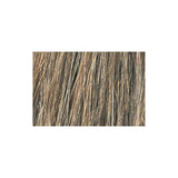 Tressa Colourage Color 8A Medium Smoke Ash Blonde / Ash / 8 Professional Salon Products